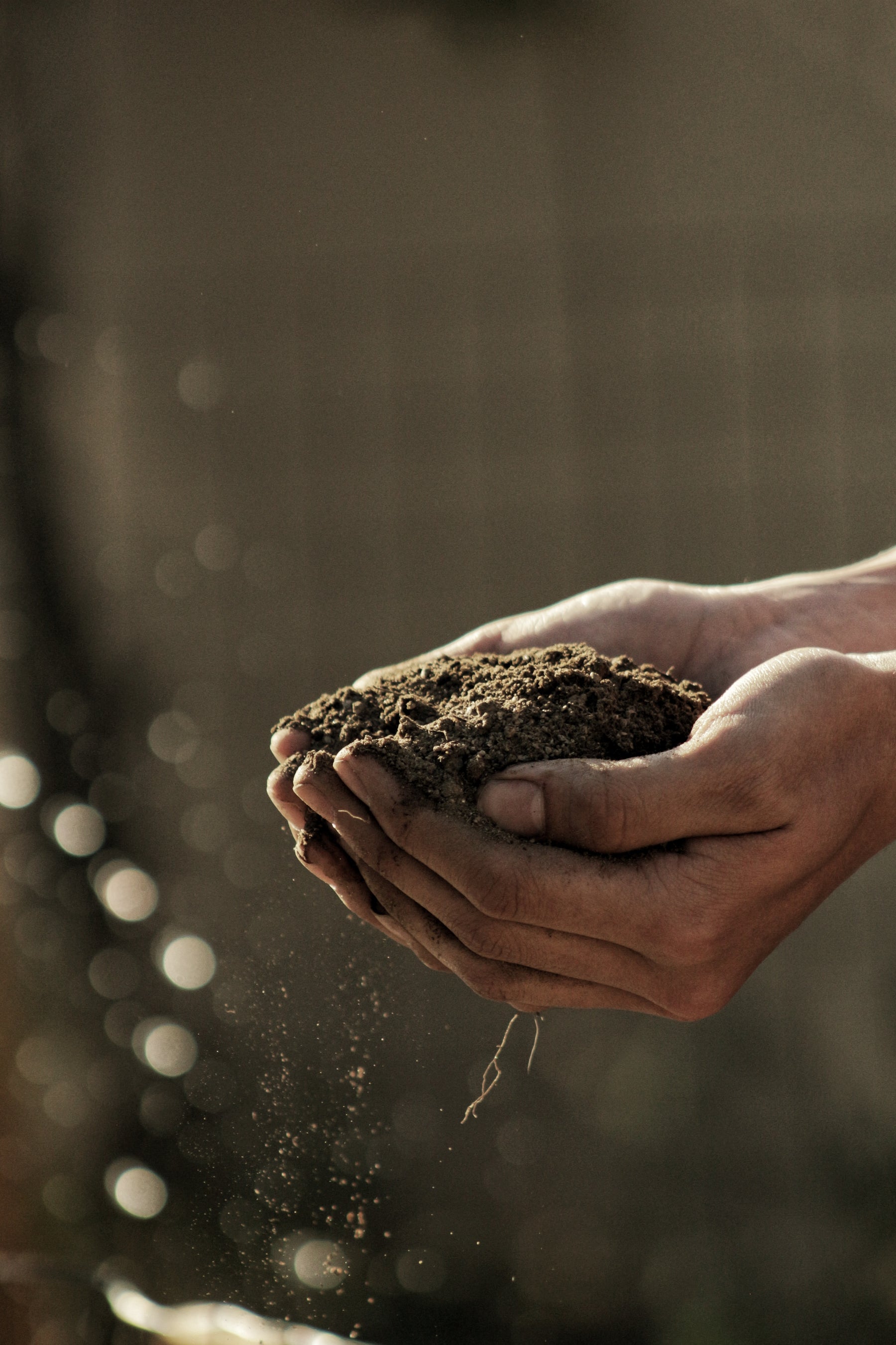 2021 Federal Budget: What It Means For Farmers & Regional Australians